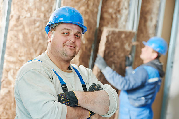 Best Geographic-Specific Insulation Services in Colonial Heights, VA
